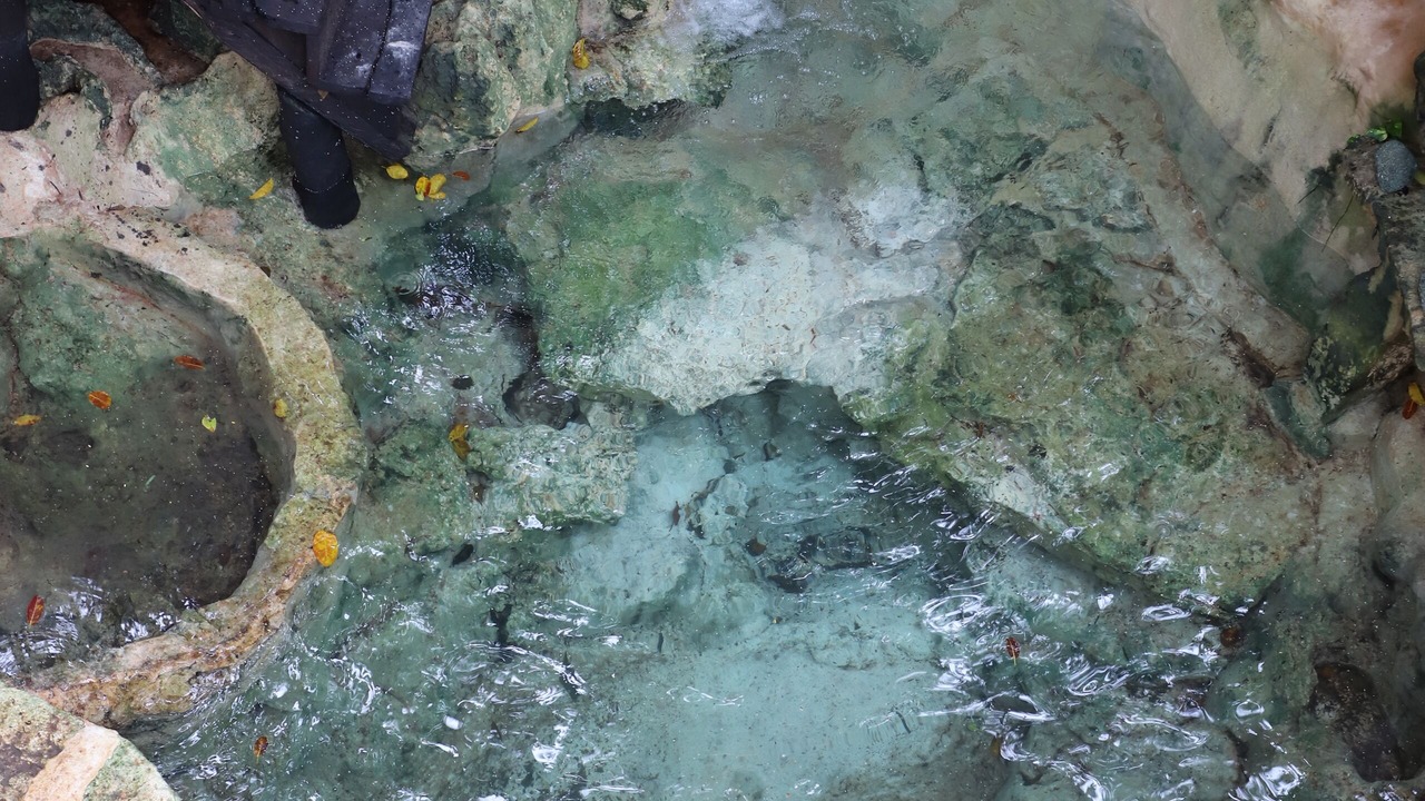 Photo of Others in Tulum