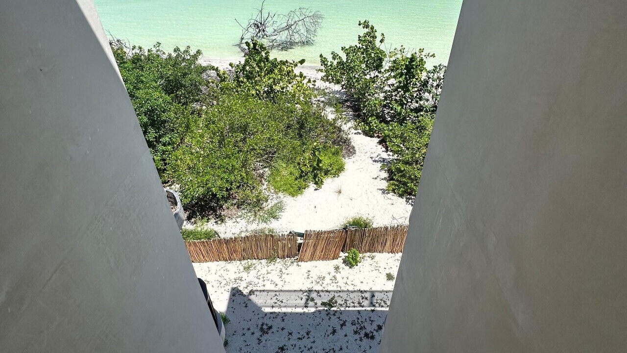 Photo of Others in Isla Holbox