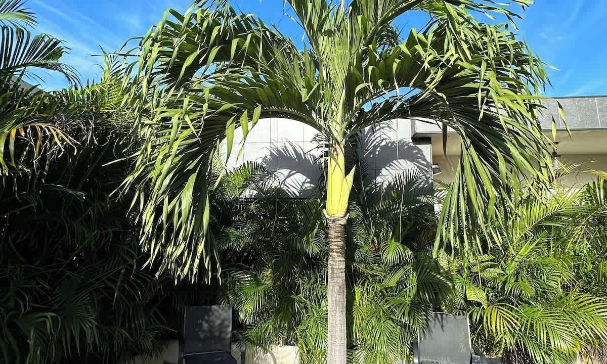Photo of Outdoor in Bacalar