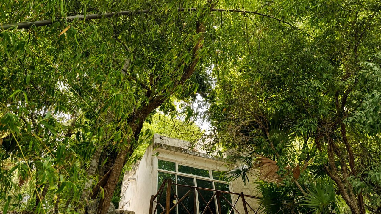Photo of Outdoor in Bacalar