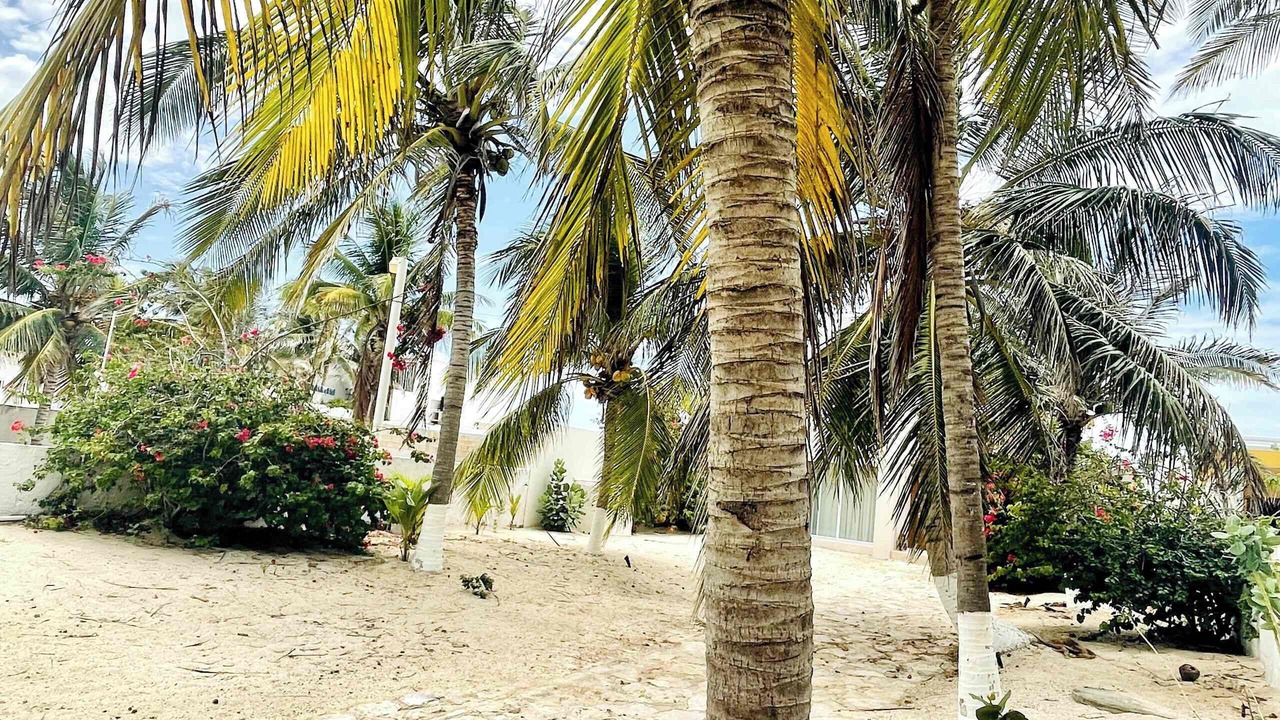 Photo of Outdoor in Chuburna Puerto