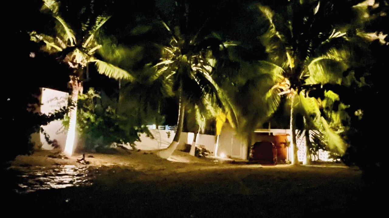 Photo of Others in Chuburna Puerto