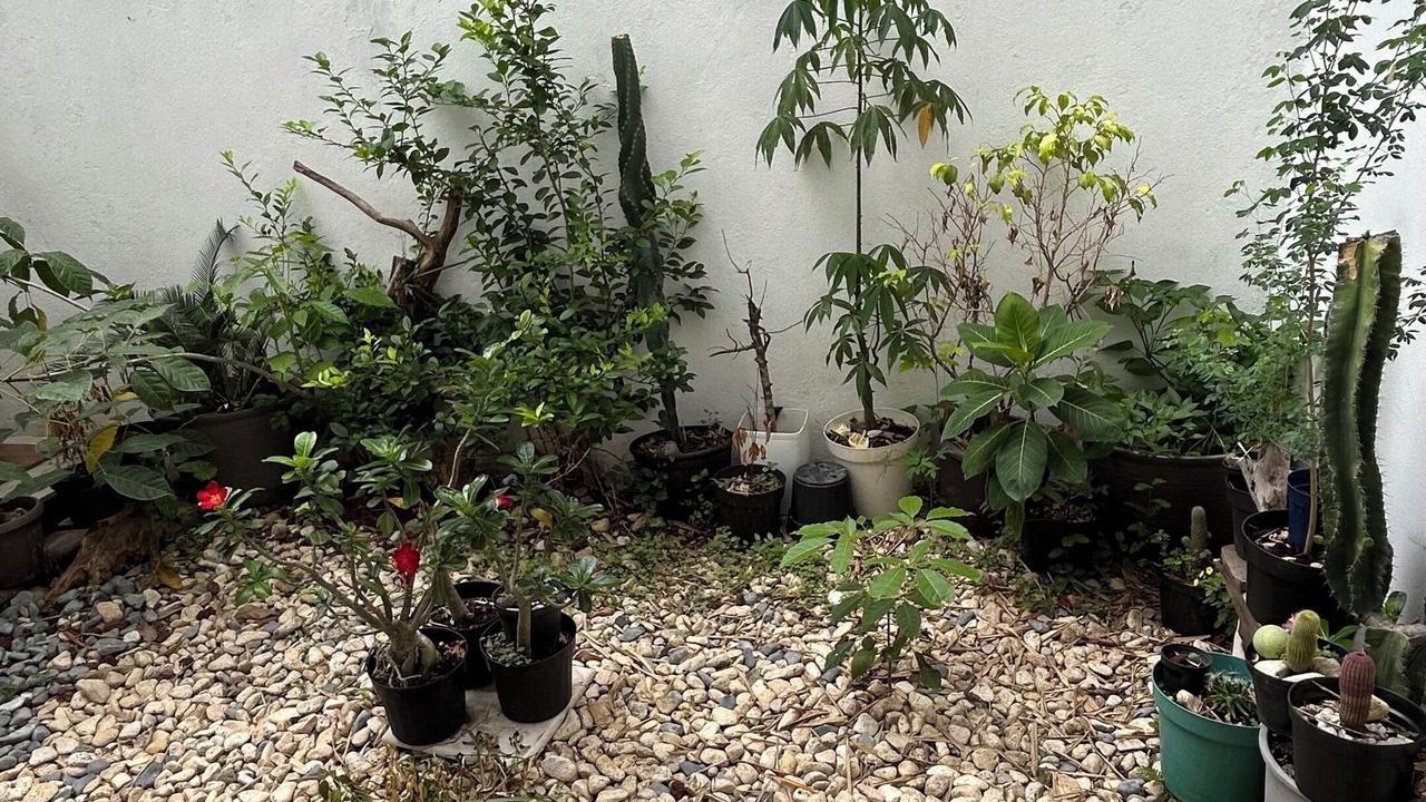Photo of Outdoor in Villahermosa
