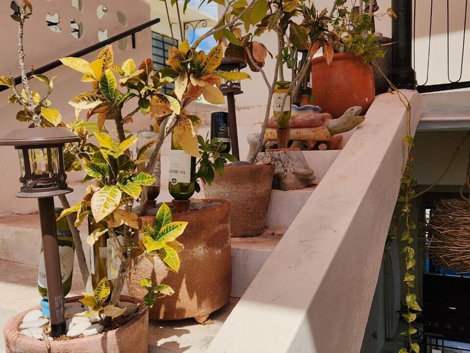 Photo of Outdoor in Barrio de Santiago
