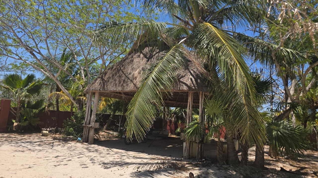 Photo of Outdoor in Chicxulub Puerto