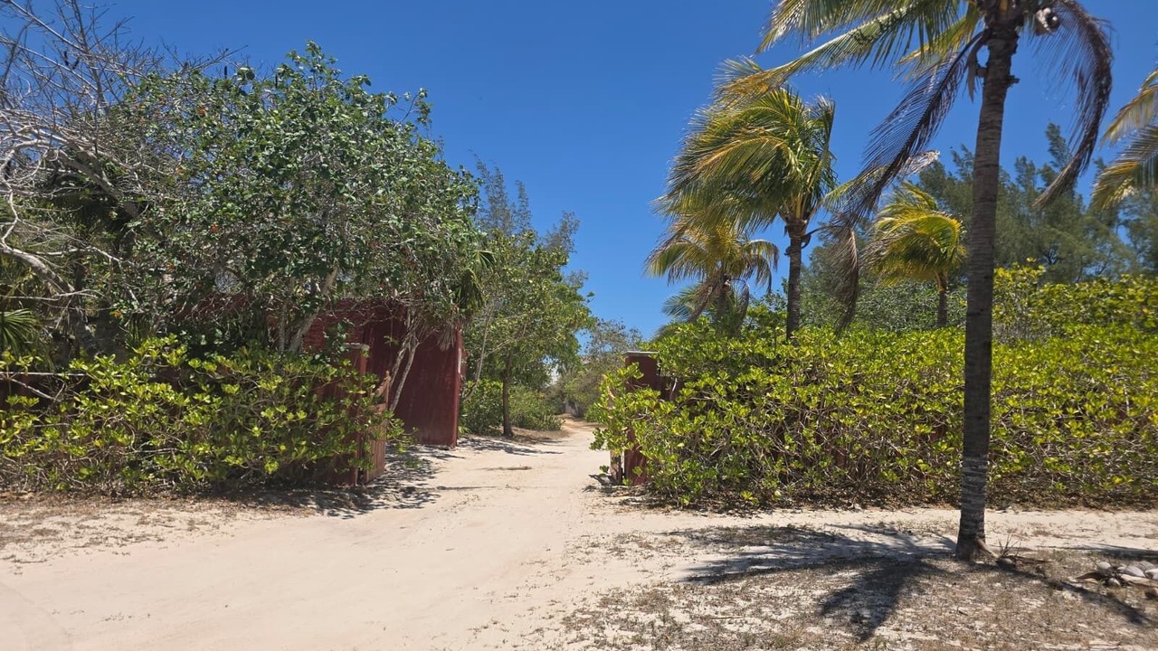 Photo of Outdoor in Chicxulub Puerto