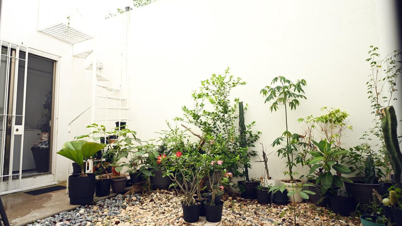 Photo of Outdoor in Villahermosa