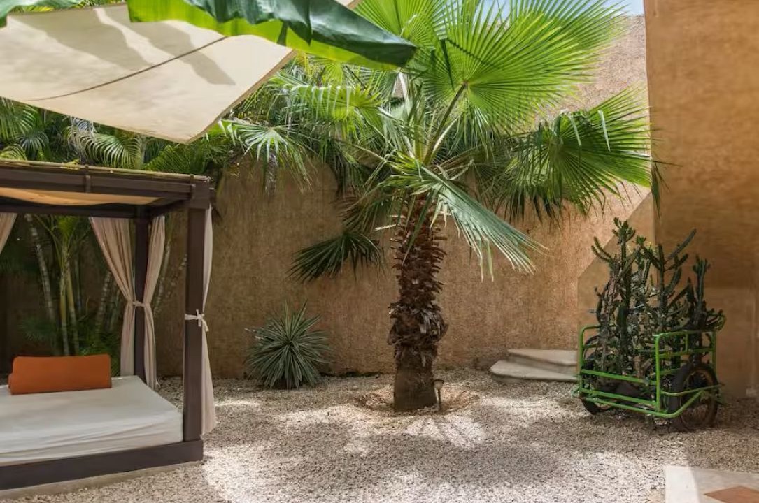 Photo of Outdoor in Centro