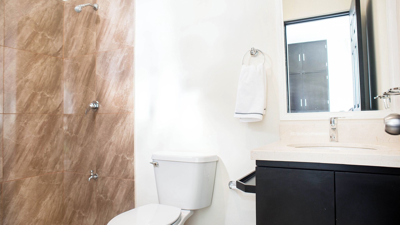 Photo of Bathroom in Colonia Adolfo Lopez Mateos