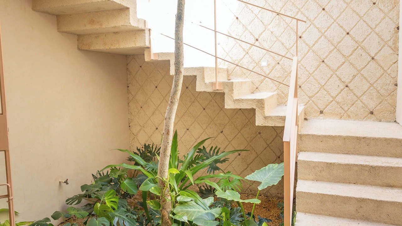 Photo of Outdoor in Centro