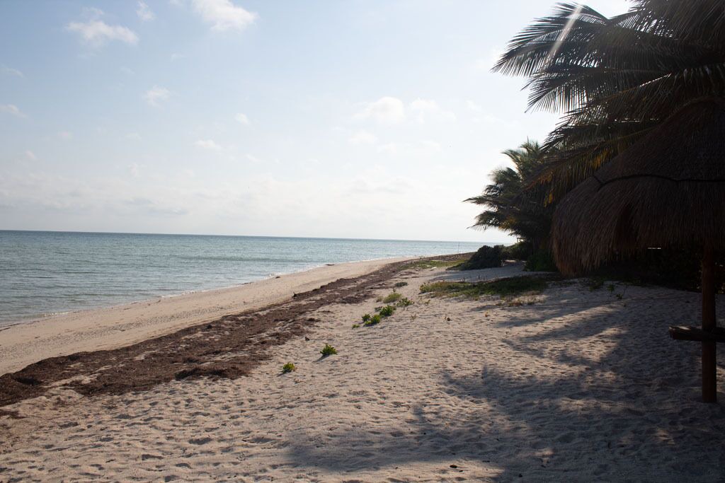 Photo of Others in Progreso Municipality