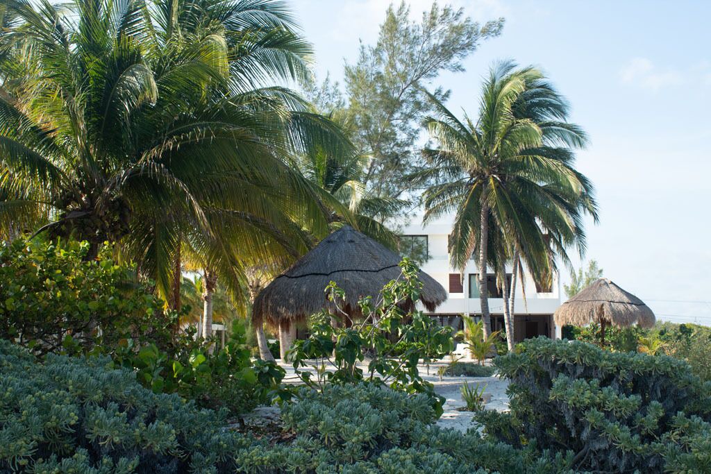 Photo of Outdoor in Progreso Municipality