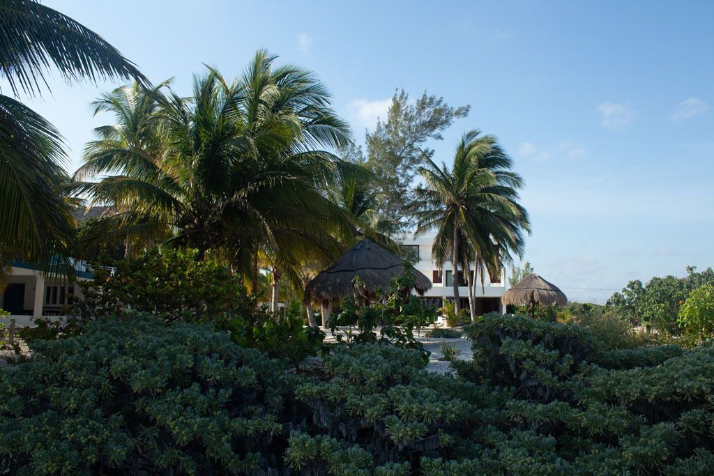 Photo of Outdoor in Progreso Municipality