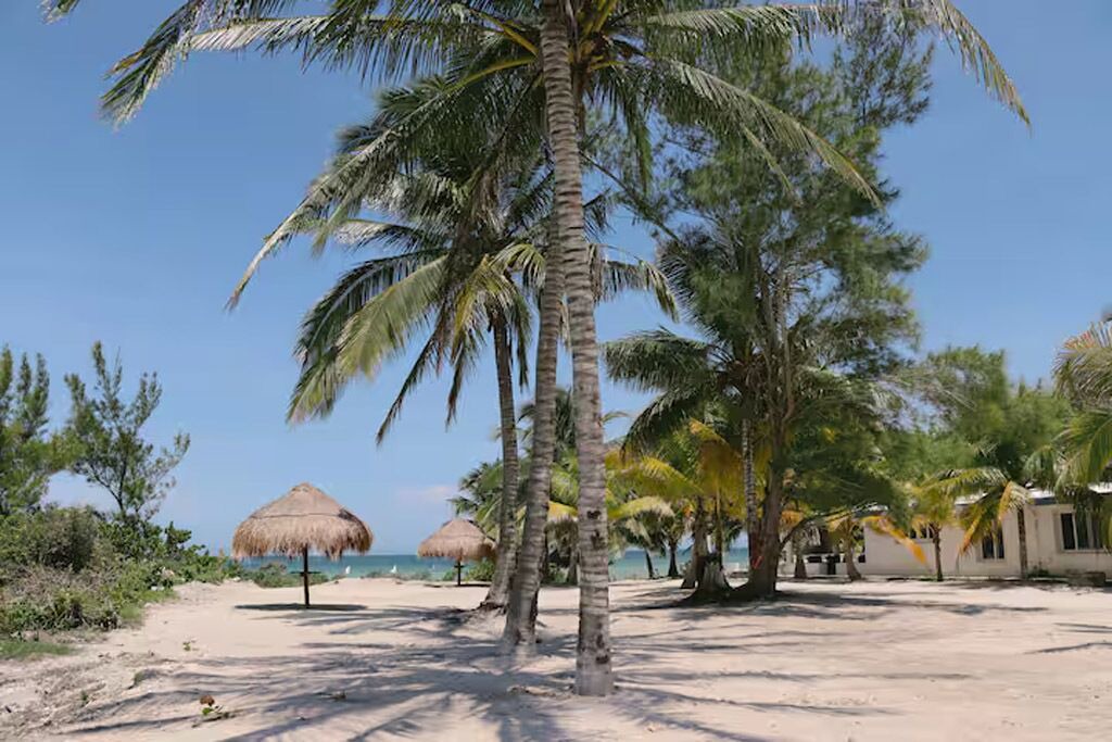 Photo of Others in Progreso Municipality