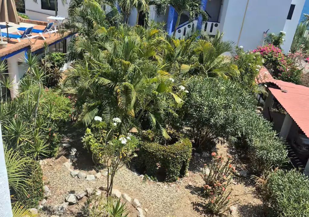 Photo of Outdoor in Hidalgo