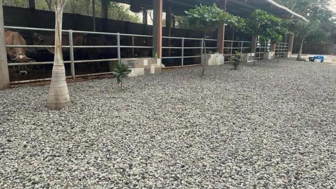 Photo of Outdoor in Jutiapa