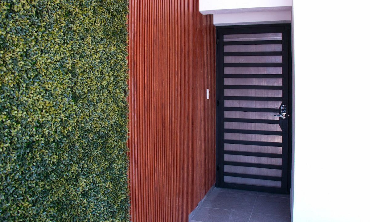 Photo of Outdoor in Tepic