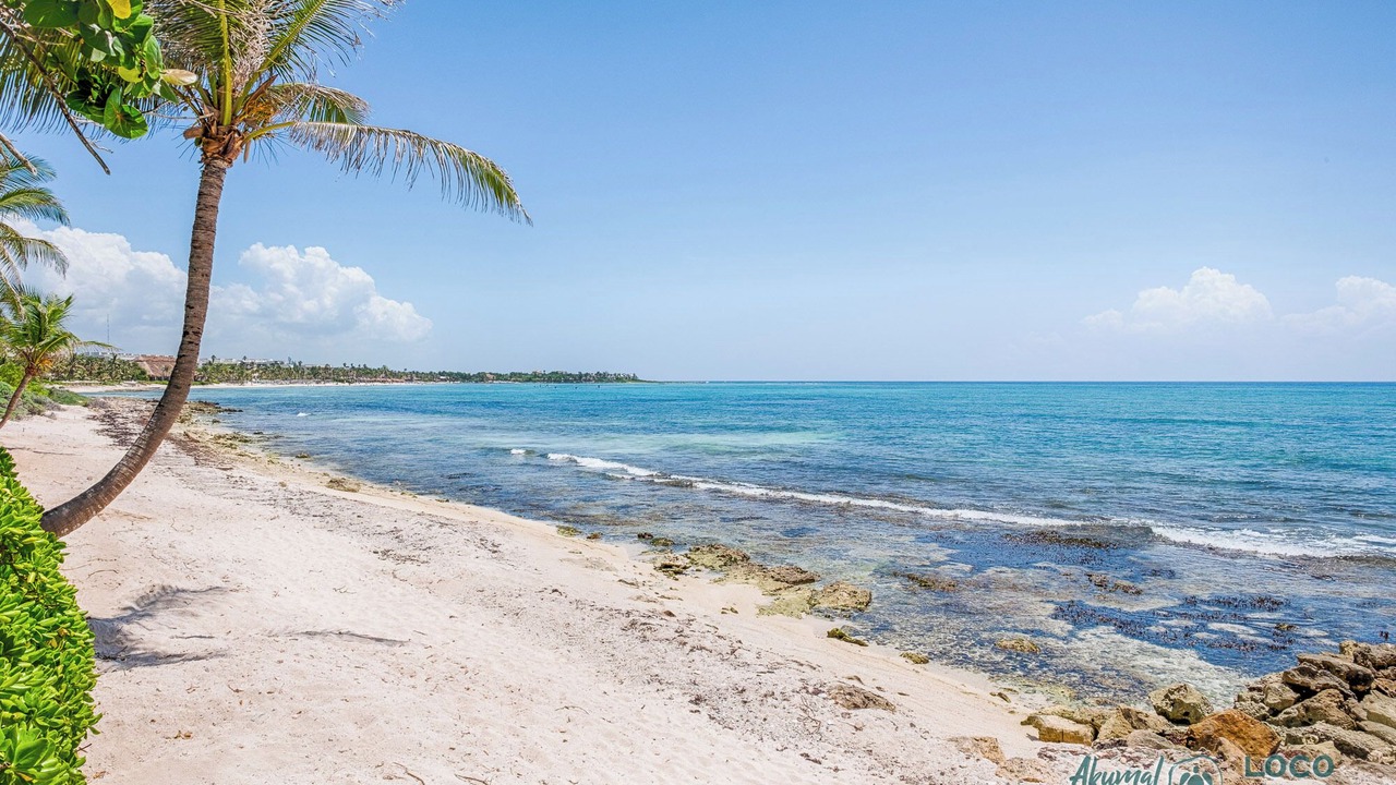 Photo of Others in Akumal