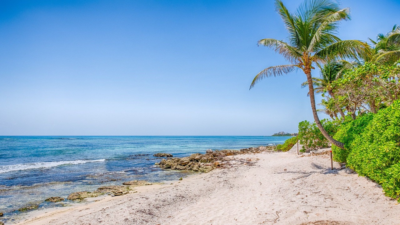 Photo of Others in Akumal