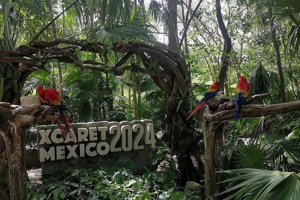 Photo of Outdoor in Villa Juarez