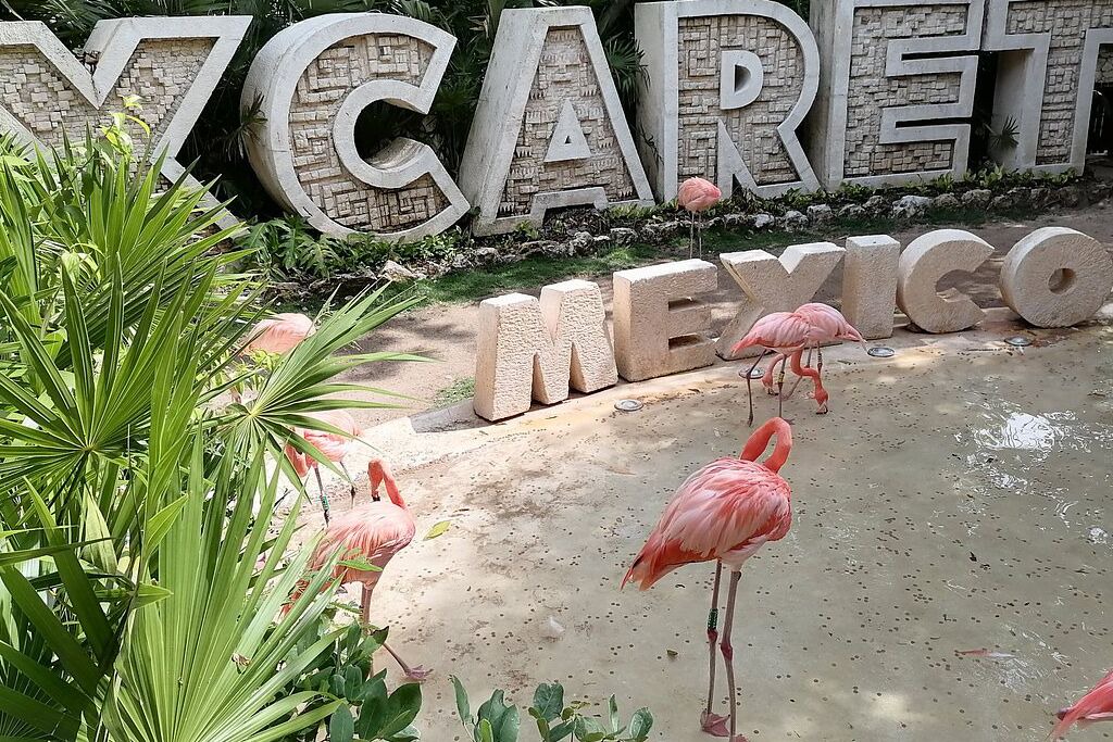 Photo of Outdoor in Villa Juarez