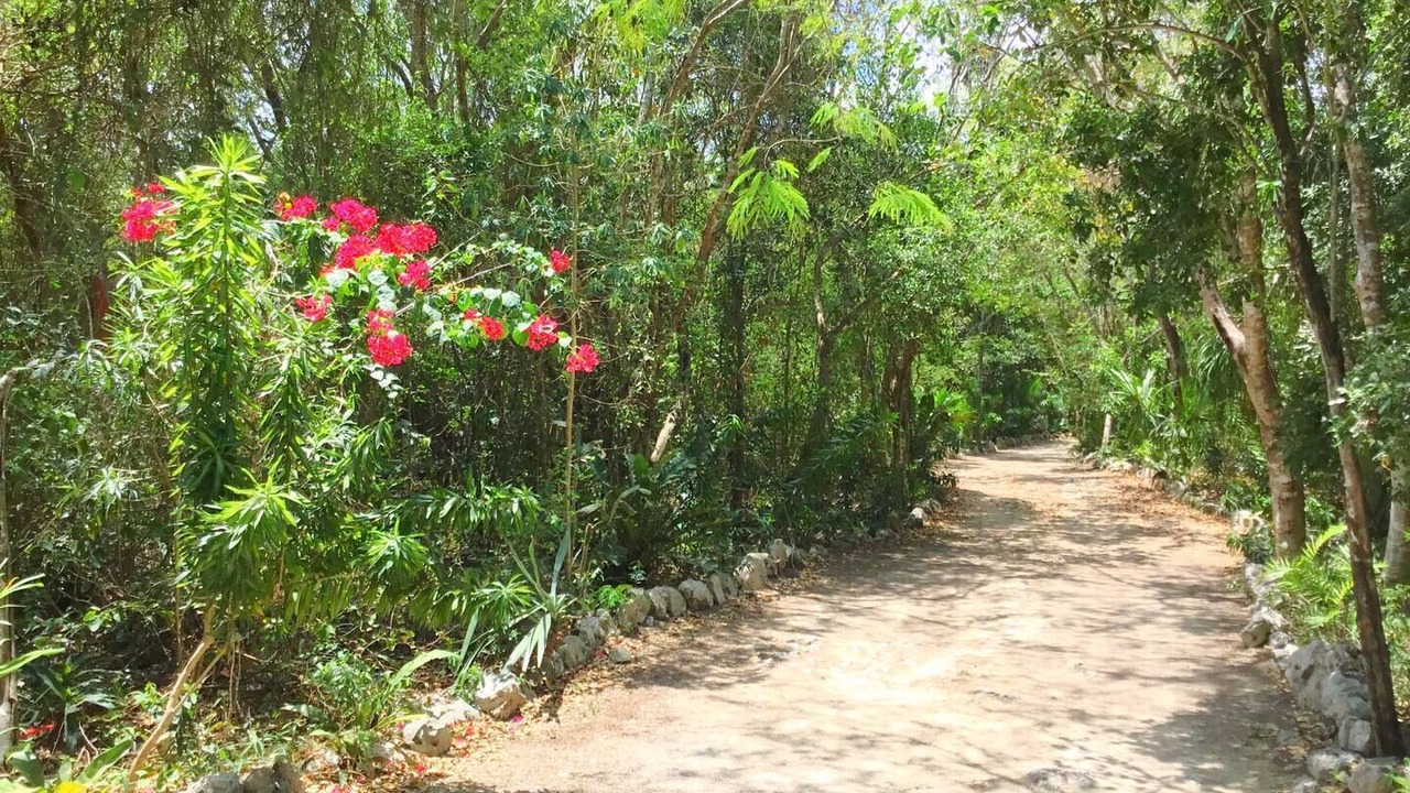 Photo of Outdoor in Akumal
