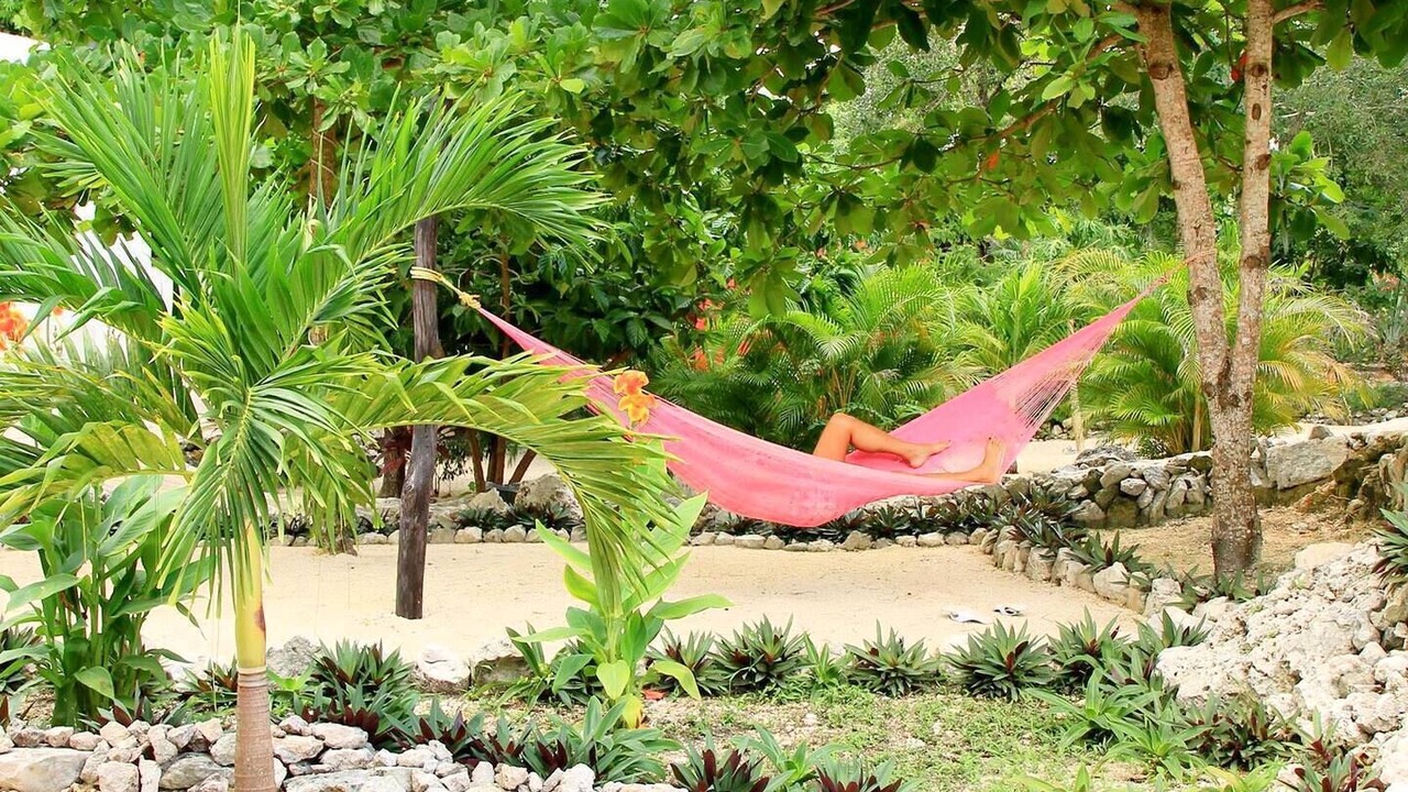 Photo of Outdoor in Akumal