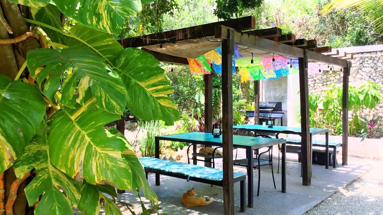 Photo of Outdoor in Akumal