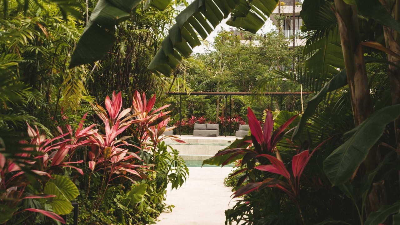 Photo of Outdoor in Tulum