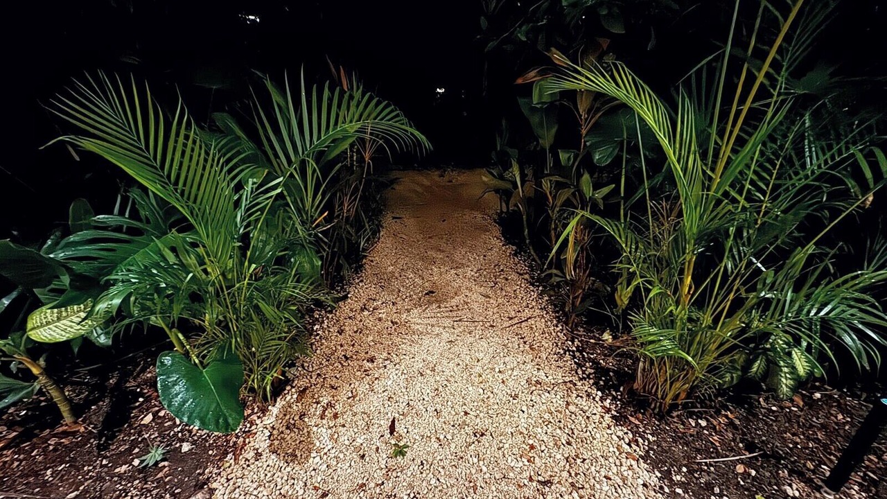 Photo of Outdoor in Tulum
