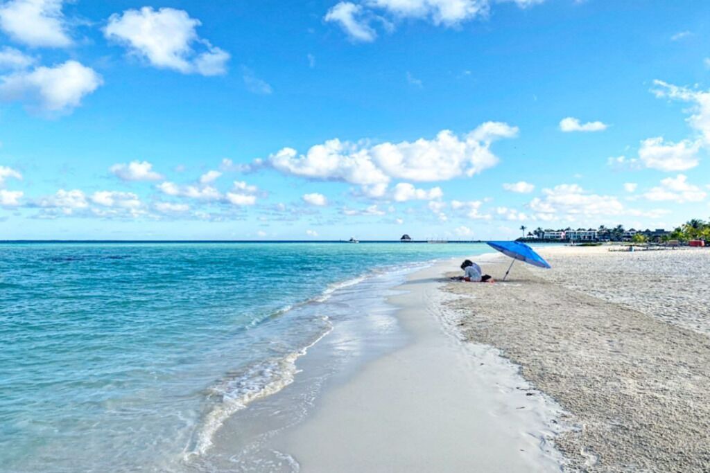 Photo of Others in Puerto Morelos