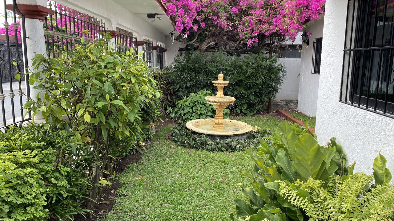 Photo of Outdoor in Colonia Centro