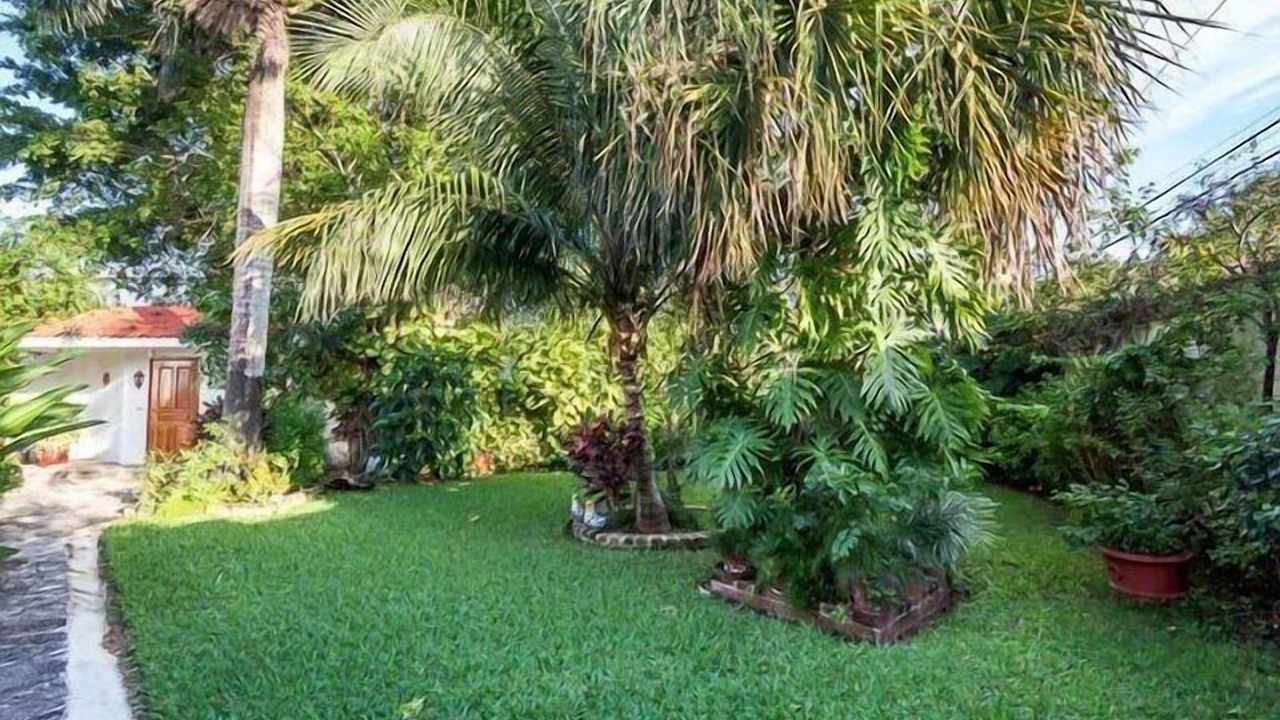 Photo of Outdoor in Colonia Centro