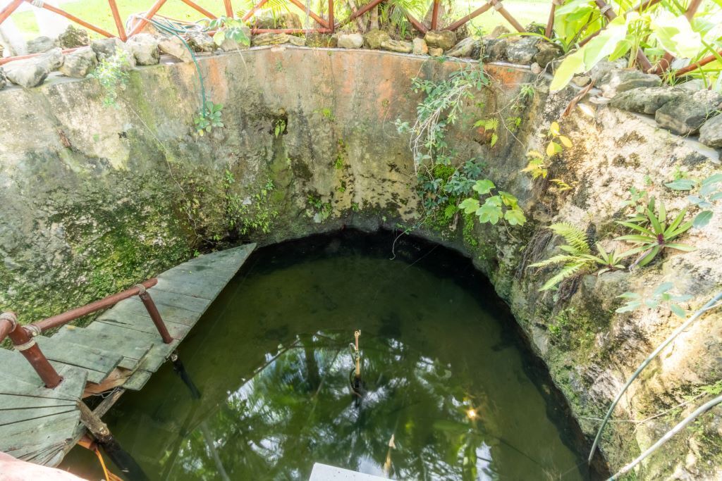 Photo of Outdoor in Alfredo V. Bonfil