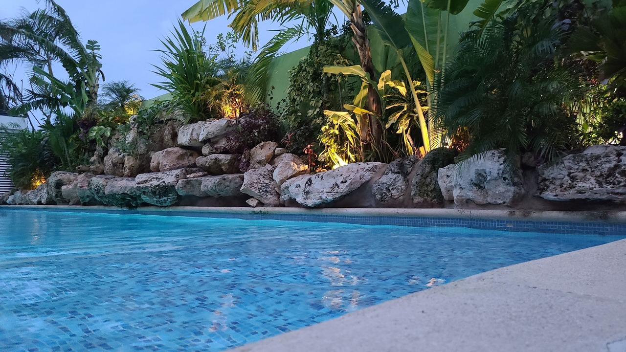 Photo of Outdoor in Luis Donaldo Colosio