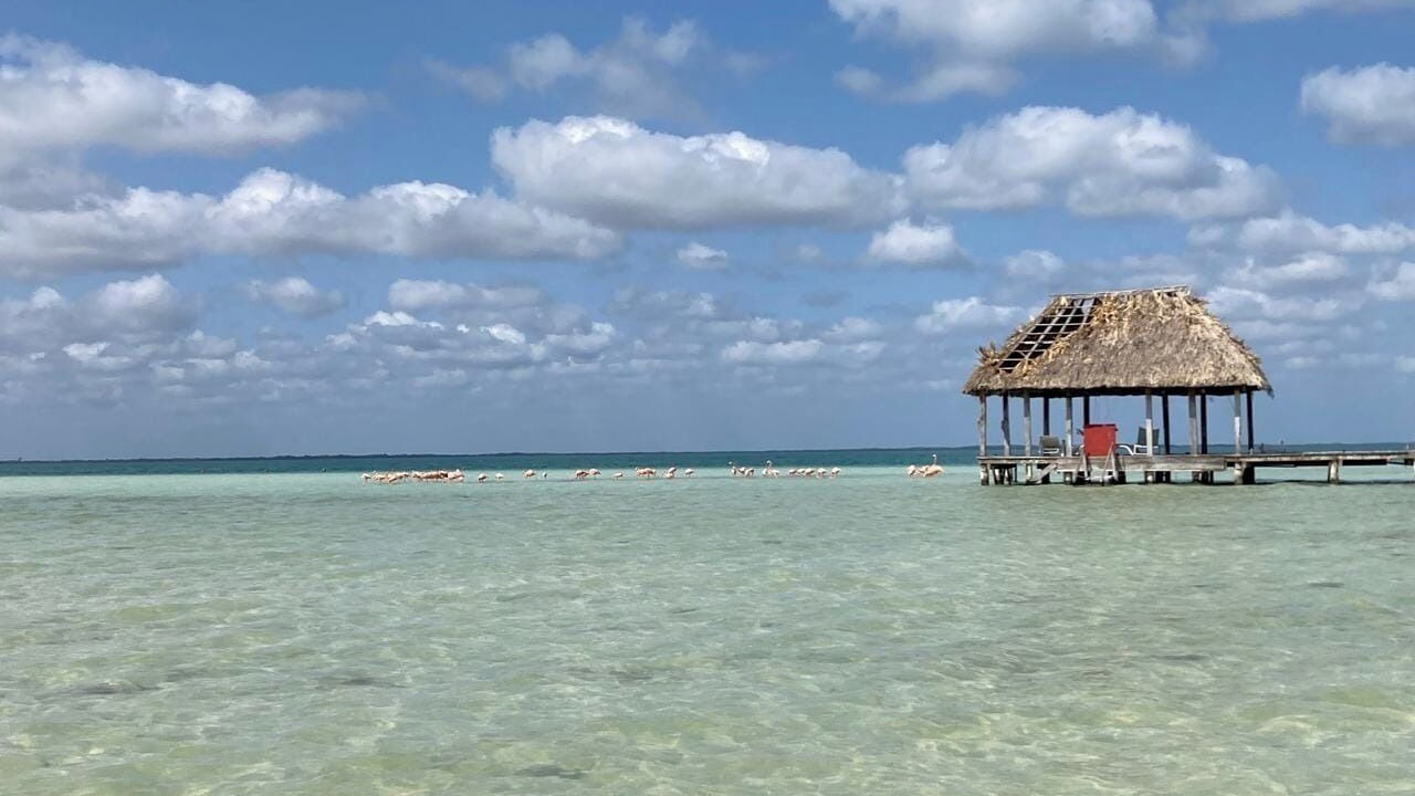 Photo of Others in Isla Holbox