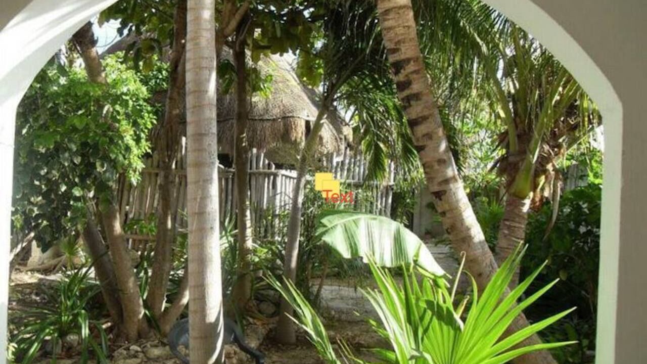 Photo of Outdoor in Salinas