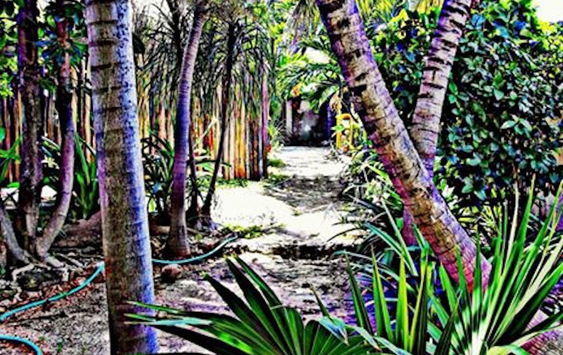 Photo of Outdoor in Salinas