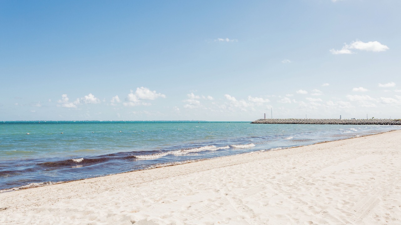 Photo of Others in Playa Mujeres