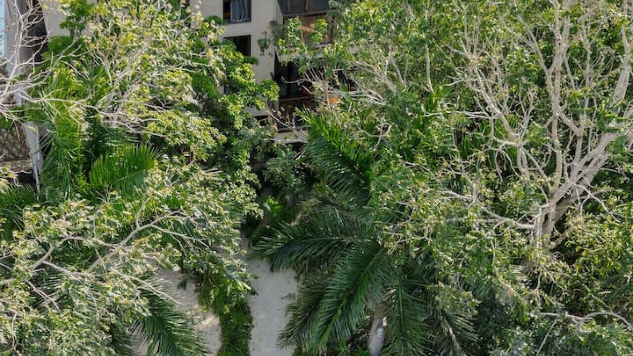 Photo of Outdoor in Soliman Bay