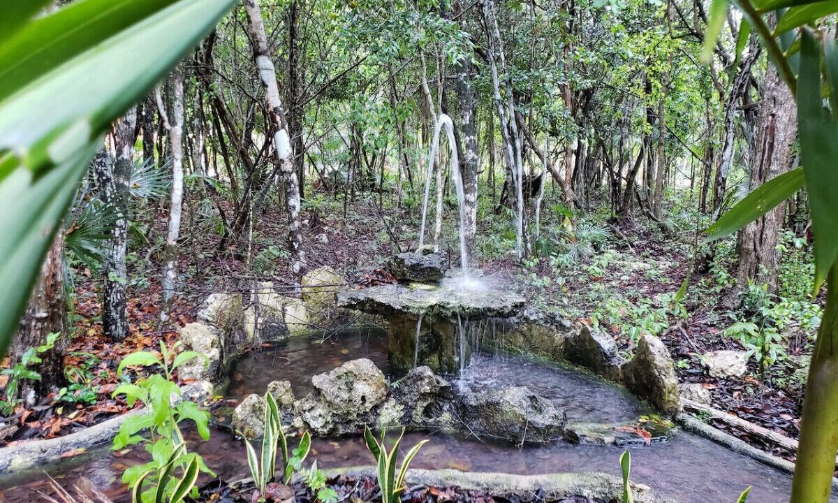 Photo of Outdoor in Chemuyil