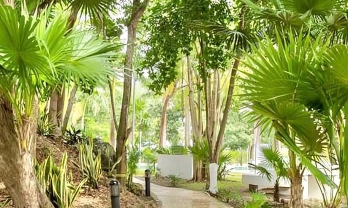 Photo of Outdoor in Jacinto Pat