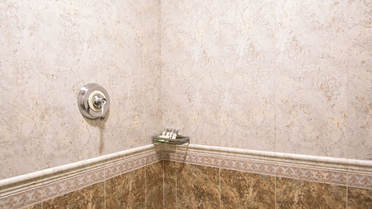 Photo of Bathroom in Colonia Andres