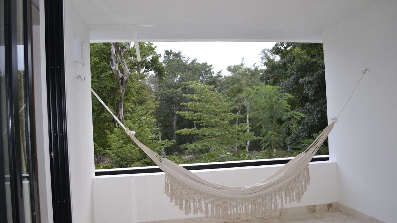 Photo of Others in Chetumal