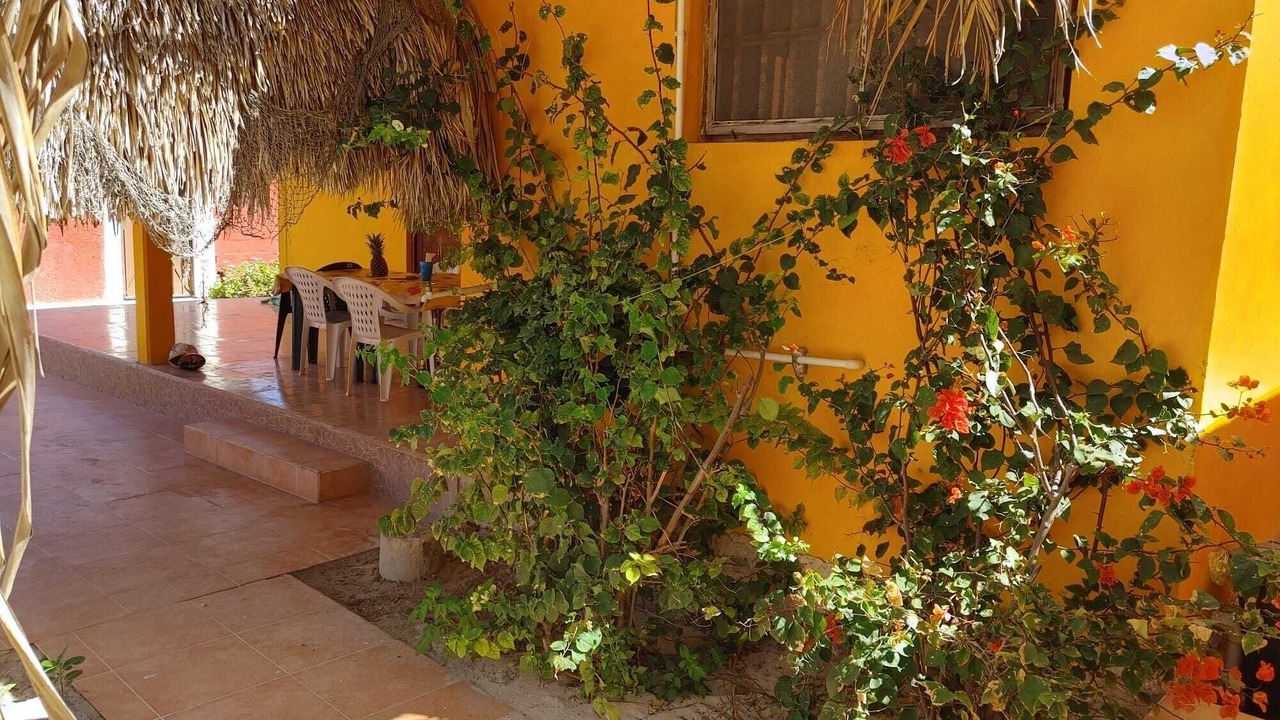 Photo of Outdoor in Chuburna Puerto