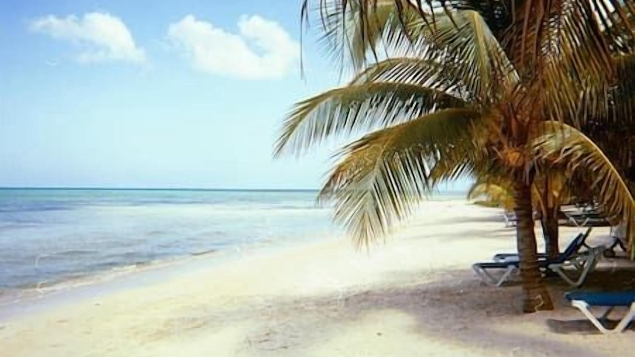 Photo of Others in Cozumel