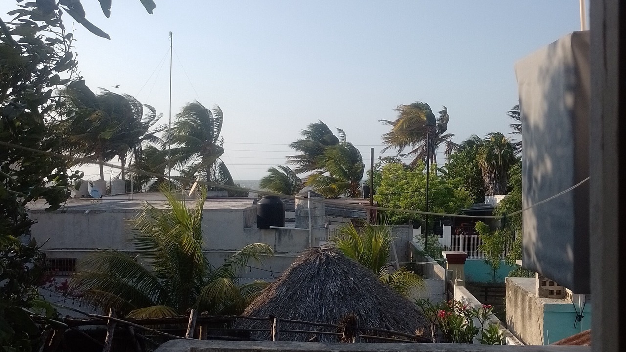 Photo of Others in Dzilam de Bravo