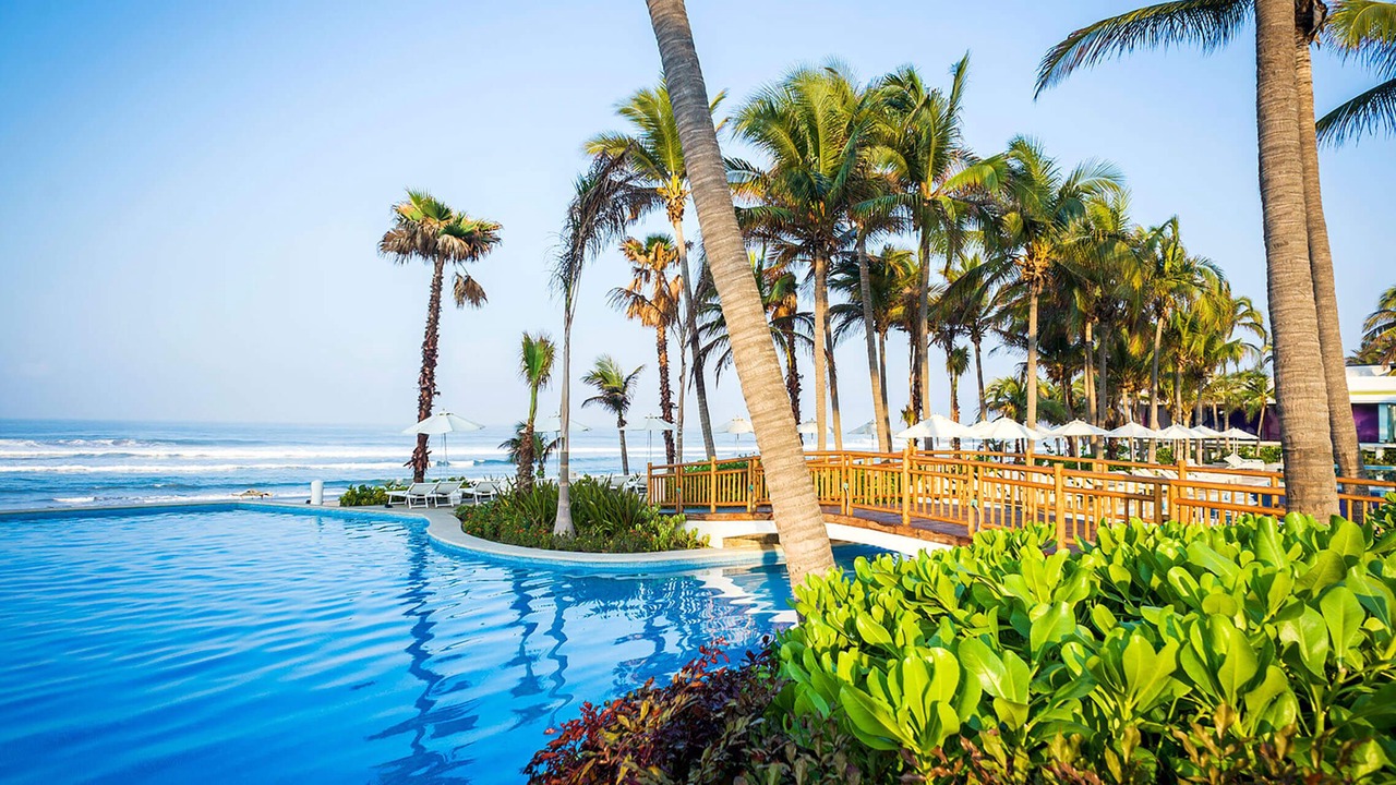 Photo of Others in Puerto Morelos