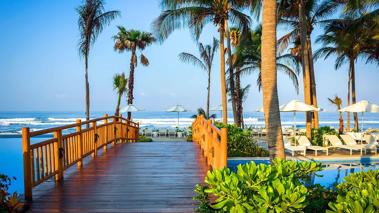 Photo of Others in Puerto Morelos