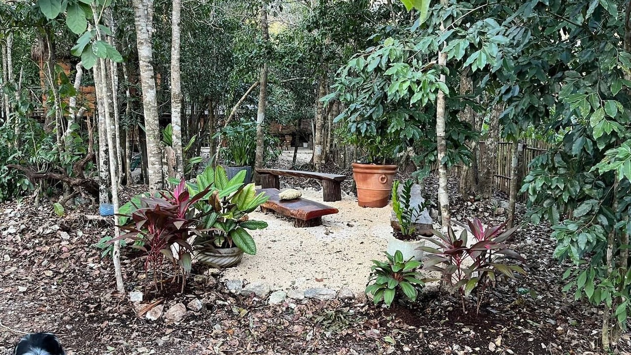 Photo of Outdoor in Francisco Uh May
